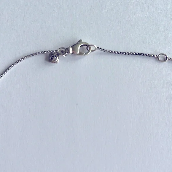 David Yurman Silver Necklace with Turquoise Pendant - Picture 4 of 5